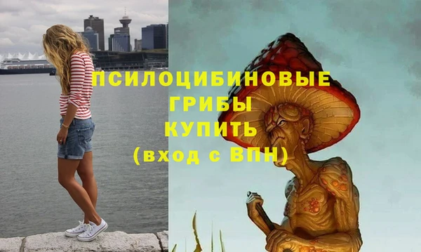 spice Абинск